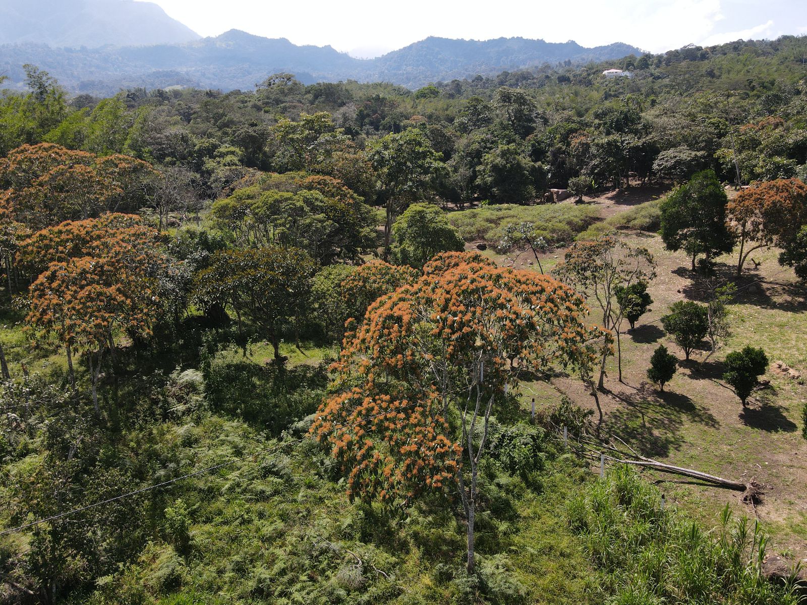 Predio Campestre en clima templado